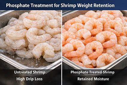 How phosphate treatment supports shrimp weight retention.